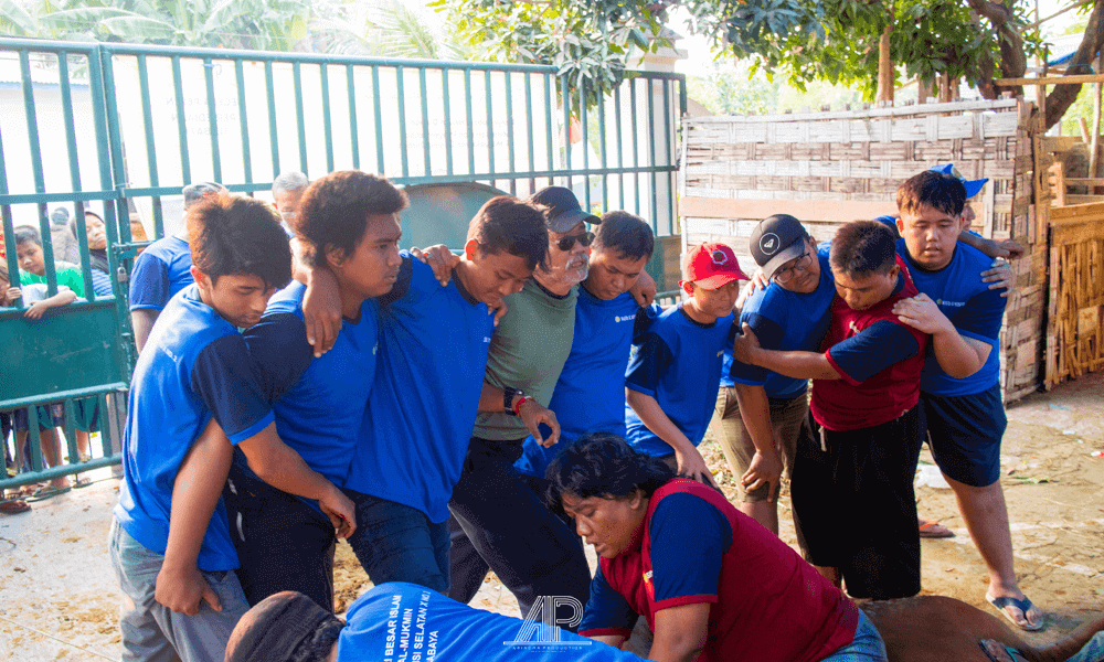 jasa video surabaya, jasa pembuatan videografi di surabaya, pembuatan video perusahaan surabaya, jasa videografi professional, jasa bikin video, jasa pembuatan video, jasa video company profile, production house surabaya, surabaya production house, pesan Jasa Video, pesan jasa live streaming